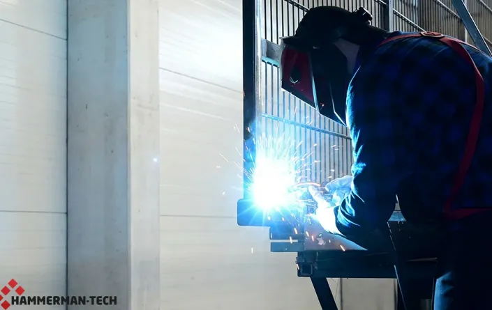 Warum_Polen_Zäune_in_Deutschland_so_beliebt_sind