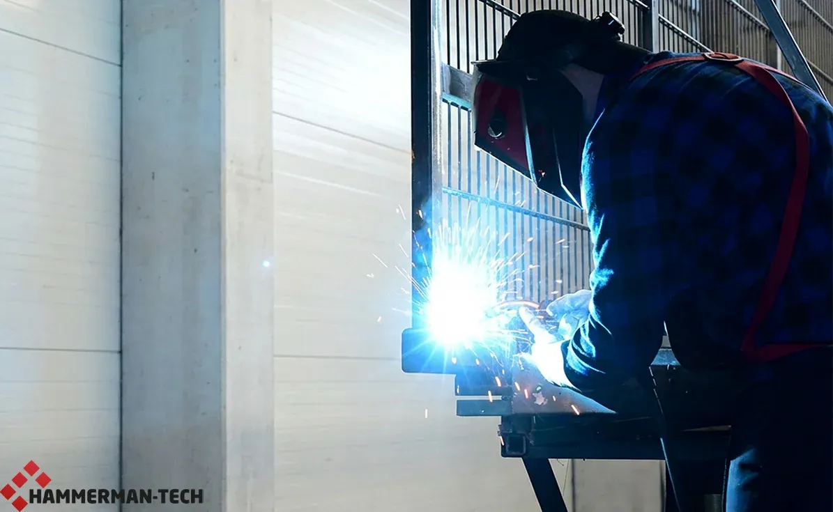 Warum_Polen_Zäune_in_Deutschland_so_beliebt_sind